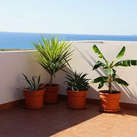 Paulina El Bosque * 오리후엘라