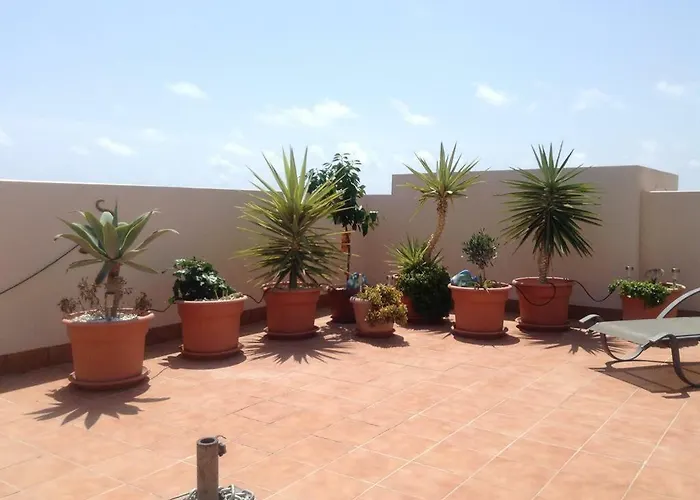 Paulina El Bosque Apartamento Oriola (Orihuela)